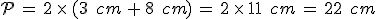 \mathcal{P}\,=\,2\,\times  \,(3\,\%2C\,cm\,%2B\,8\,\%2C\,cm)\,=\,2\,\times  \,11\,\%2C\,cm\,=\,22\,\%2C\,cm