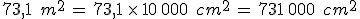 73{%2C}1\,\%2C\,m^2\,=\,73{%2C}1\,\times  \,10\%2C000\,\%2C\,cm^2\,=\,731\%2C000\,\%2C\,cm^2
