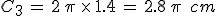C_{3}\,=\,2\,\pi\,\times  \,1.4\,=\,2.8\,\pi\,\%2C\,cm