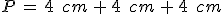 P\,=\,4\,\%2C\,cm\,%2B\,4\,\%2C\,cm\,%2B\,4\,\%2C\,cm