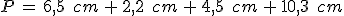 P\,=\,6%2C5\,\%2C\,cm\,%2B\,2%2C2\,\%2C\,cm\,%2B\,4%2C5\,\%2C\,cm\,%2B\,10%2C3\,\%2C\,cm