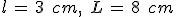 l\,=\,3\,\%2C\,cm%2C\,\%2C\,L\,=\,8\,\%2C\,cm