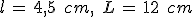 l\,=\,4{%2C}5\,\%2C\,cm%2C\,\%2C\,L\,=\,12\,\%2C\,cm