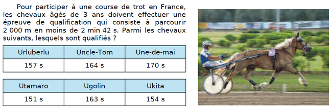 Une course de trot en France : exercices en CM1.