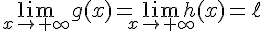 \lim_{x\to+\infty}g(x)=\lim_{x\to+\infty}h(x)=\ell