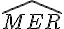 \widehat{MER}