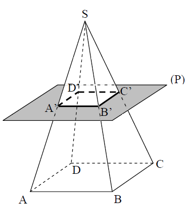 section pyramide