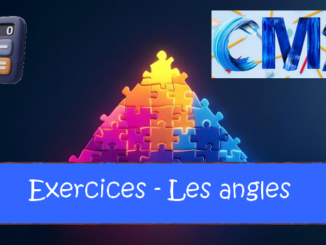 Les angles : exercices de maths en CM2 corrigés.