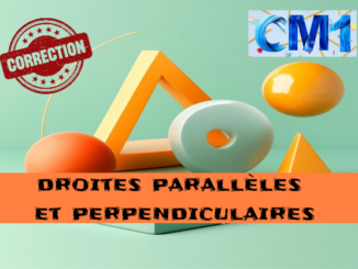 Droites parallèles et perpendiculaires : corrigé des exercices de maths en CM1