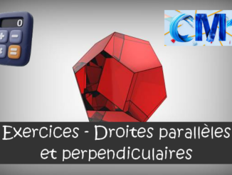 Droites parallèles et perpendiculaires : exercices de maths en CM1 corrigés.