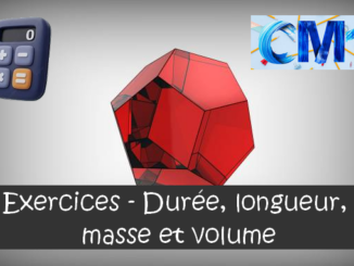 Durée, longueur, masse et volume : exercices de maths en CM1 corrigés.