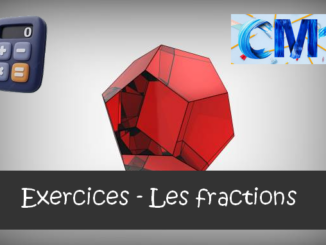 Les fractions : exercices de maths en CM1 corrigés.