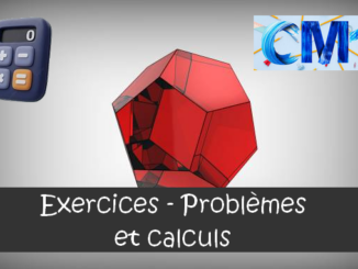 Les problèmes et calculs : exercices de maths en CM1 corrigés.