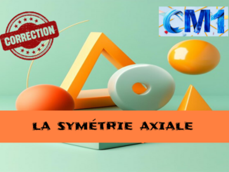 Symétrie axiale : corrigé des exercices de maths en CM1