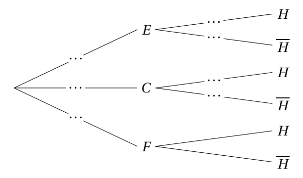 Arbre pondéré à compléter : trois branches E, C et F issues de la racine, chacune suivie des branches H et H barre, avec des pointillés à la place des probabilités