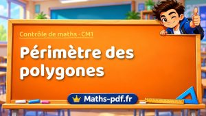 Périmètre des polygones