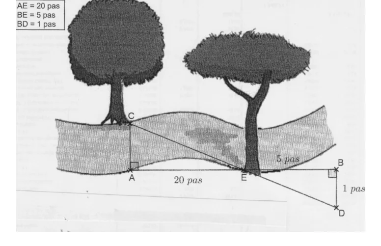 Schéma de la rivière : A et C sur les deux rives avec (AC) perpendiculaire à (AB), E sur la rive entre A et B, B et D de l'autre côté avec (BD) perpendiculaire à (AB) ; AE = 20 pas, BE = 5 pas, BD = 1 pas ; C, E, D alignés