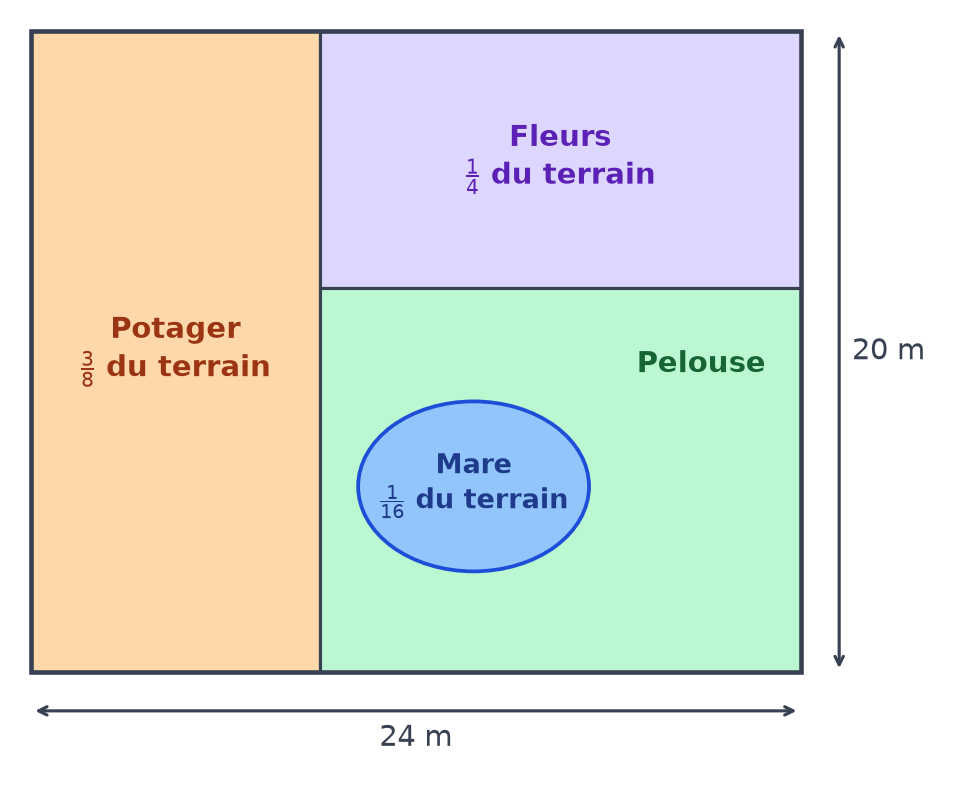 Plan d'un terrain rectangulaire de 24 m sur 20 m : potager trois huitièmes, fleurs un quart, mare un seizième, le reste en pelouse