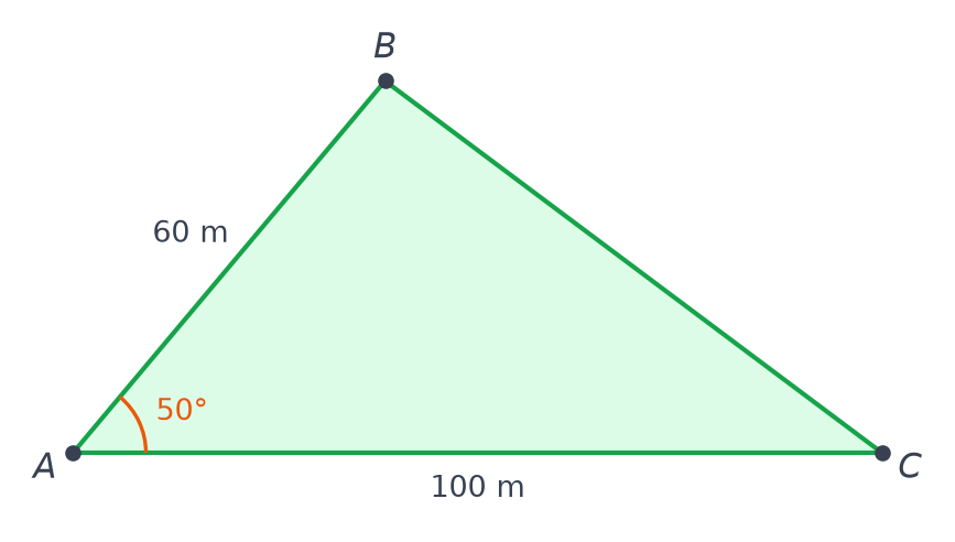 Champ triangulaire ABC avec AB = 60 m, AC = 100 m et un angle de 50° codé au sommet A