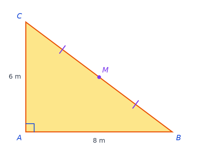 Plan du massif triangulaire ABC rectangle en A, AB de 8 m, AC de 6 m, M milieu de BC codé