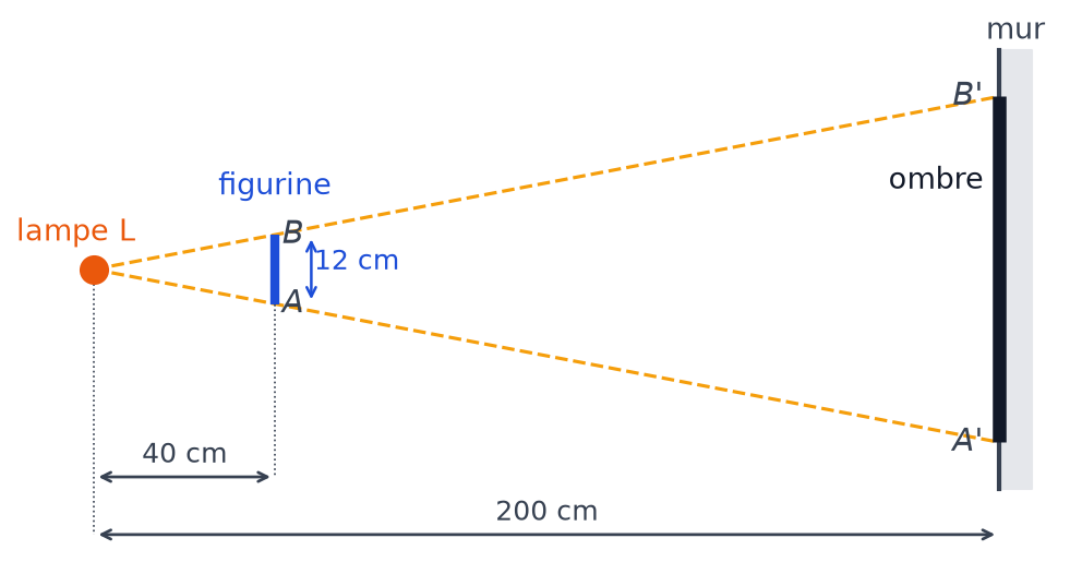 Schéma de profil : lampe L, figurine AB de 12 cm à 40 cm de la lampe, ombre A'B' sur le mur à 200 cm