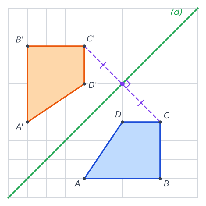 Quadrillage corrigé : trapèze bleu ABCD, son symétrique orange A'B'C'D' au-dessus de l'axe, segment CC' en pointillés perpendiculaire à l'axe