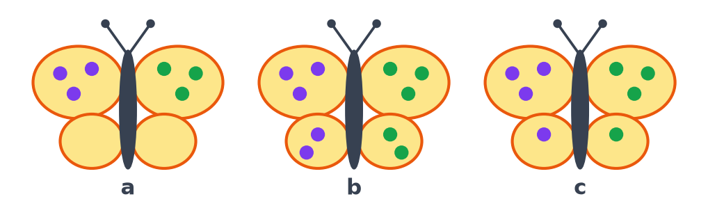 Les trois papillons complétés : 3, 5 et 4 points verts dessinés sur l'aile droite, en face des points violets