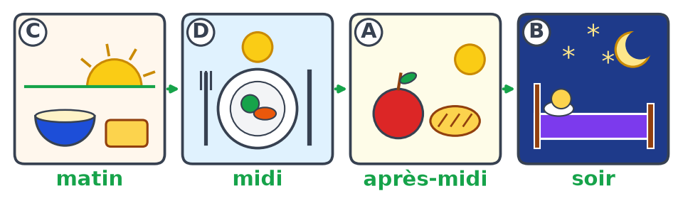 Les quatre images rangées avec des flèches vertes : C matin, D midi, A après-midi, B soir