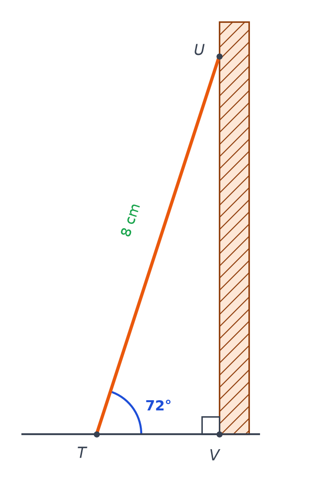 Échelle TU de 8 cm posée contre un mur vertical, faisant un angle de 72 degrés avec le sol, V pied du mur codé droit
