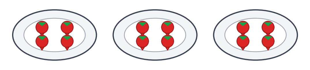 Trois assiettes contenant chacune quatre fraises, soit douze fraises partagées équitablement