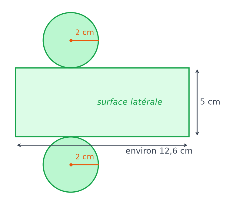 Patron du cylindre à l'échelle un demi : rectangle d'environ 12,6 cm sur 5 cm et deux disques de rayon 2 cm