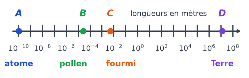 Échelle de 10 puissance moins 10 à 10 puissance 8 mètres avec A pour l'atome, B pour le pollen, C pour la fourmi et D pour la Terre