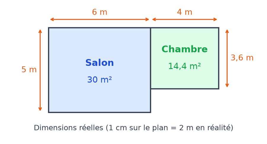 Plan redessiné avec les dimensions réelles : salon de 6 m sur 5 m, 30 m², et chambre de 4 m sur 3,6 m, 14,4 m²