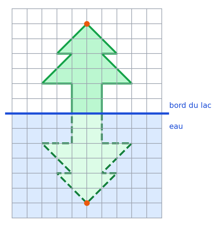Sapin au-dessus du bord du lac et son reflet en pointillés verts dans l'eau, pointe en bas à six carreaux sous le bord