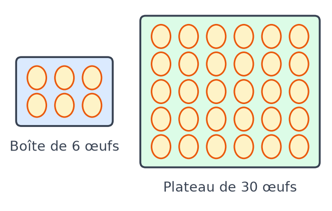 Une boîte de 6 œufs rangés en 2 rangées de 3 et un plateau de 30 œufs rangés en 5 rangées de 6