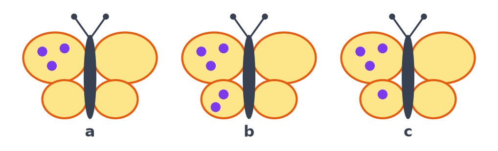 Trois papillons a, b et c avec 3, 5 et 4 points violets sur l'aile gauche et l'aile droite vide