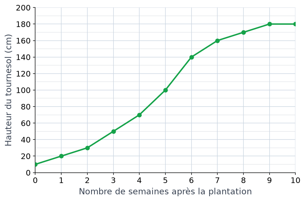 Courbe de la hauteur du tournesol en centimètres en fonction du nombre de semaines après la plantation, de 0 à 10 semaines