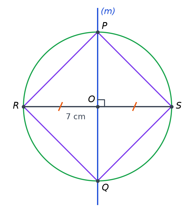 Segment RS de 7 cm, sa médiatrice (m) passant par O, cercle de centre O coupant (m) en P et Q, quadrilatère RPSQ