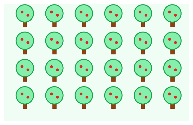 Verger vu de haut avec quatre rangées de six pommiers verts portant chacun deux pommes rouges