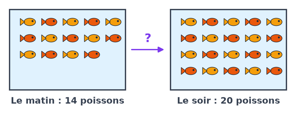 Deux aquariums : le matin avec 14 poissons, le soir avec 20 poissons, reliés par une flèche marquée d'un point d'interrogation