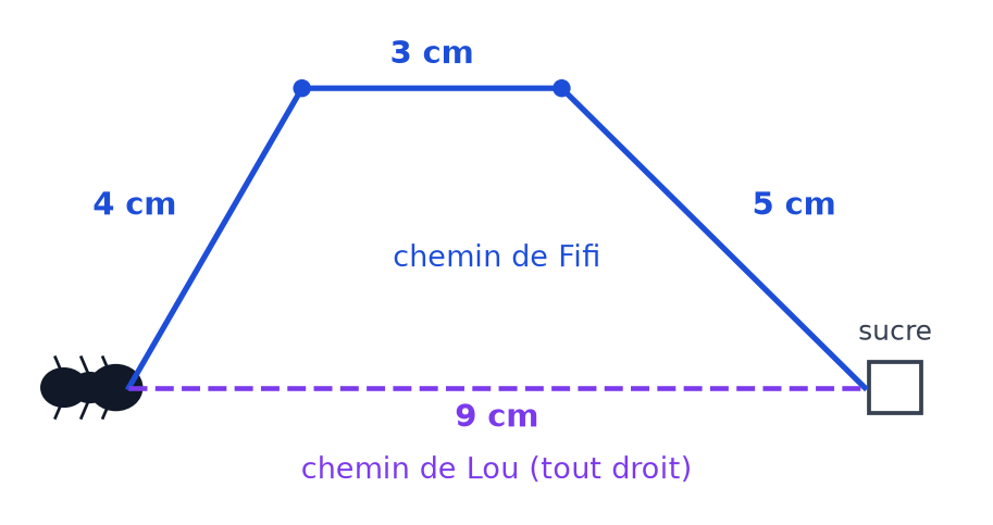 Chemin de Fifi en trois morceaux de 4 cm, 3 cm et 5 cm, et chemin tout droit de Lou de 9 cm jusqu'au sucre