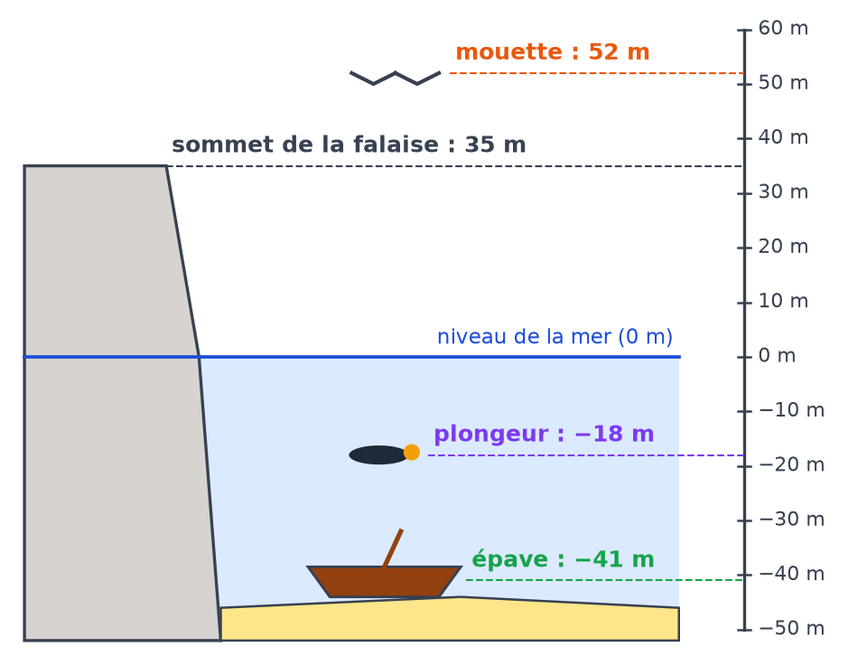 Coupe d'une falaise de 35 m au bord de la mer avec une mouette à 52 m, un plongeur à −18 m et une épave à −41 m