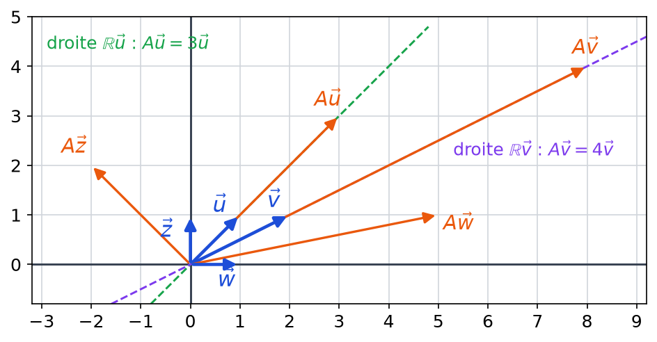 Figure complétée : la droite dirigée par u, où Au vaut 3u, et la droite dirigée par v, où Av vaut 4v, tracées en pointillés