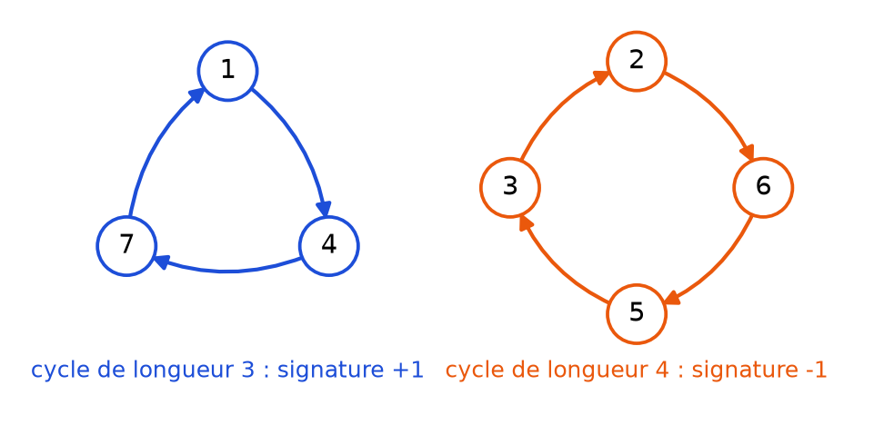 Les deux cycles de sigma dessinés en boucle : 1, 4, 7 en bleu et 2, 6, 5, 3 en orange