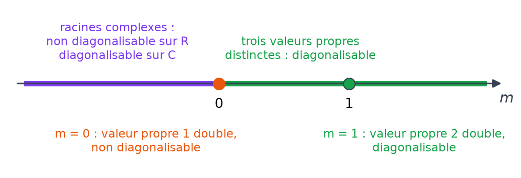 Axe du paramètre m résumant les cas : m négatif, m égal à 0, m égal à 1 et m positif différent de 1
