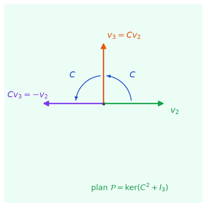 Plan P avec les vecteurs v_2, v_3 = C v_2 et C v_3 = -v_2, et des flèches montrant l'action de C comme un quart de tour