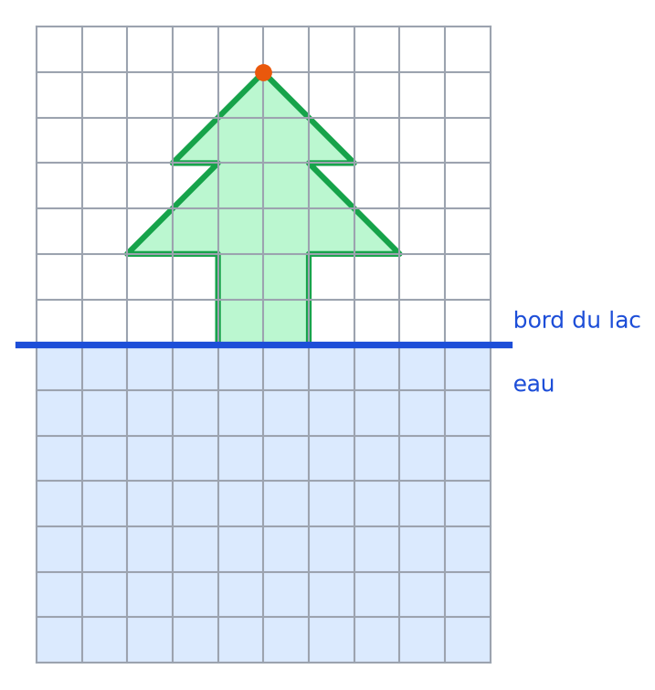 Sapin vert dessiné sur quadrillage au-dessus d'une ligne bleue horizontale, le bord du lac, avec l'eau en dessous