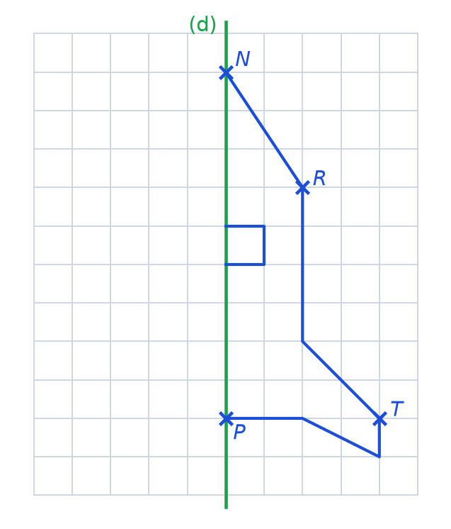 Quadrillage avec une droite verticale (d) et la moitié droite d'une fusée avec ses points N, R, T et P