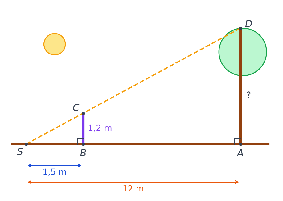 Sol horizontal avec le point S, le bâton vertical BC de 1,2 m, le peuplier vertical AD et le rayon de soleil passant par S, C et D