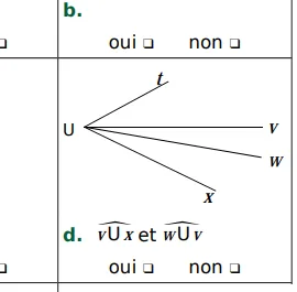 Angles vUx et wUv en U Demi-droites Ut, Uv, Uw et Ux issues du point U formant les angles vUx et wUv — exercice de maths en 5ème sur les angles adjacents